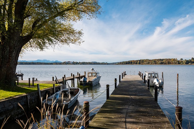 尚需进一步 尚需进一步