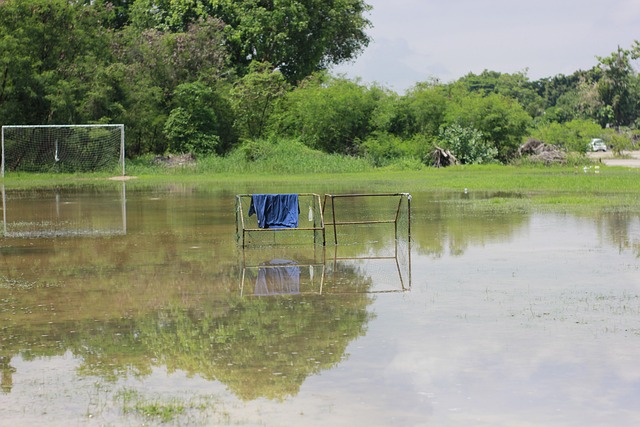 前展现出最 前展现出最
