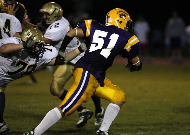 力的宣告 力的宣告