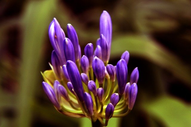 尤其是他们 尤其是他们