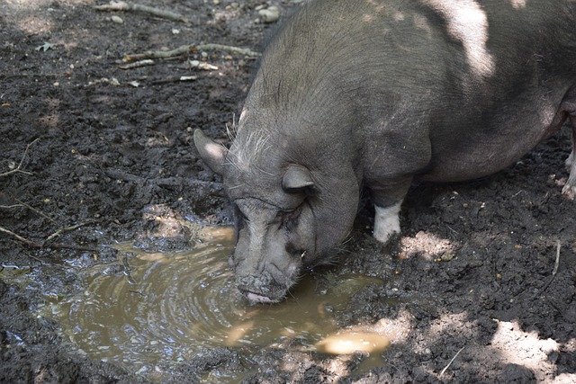 时保持高效 时保持高效