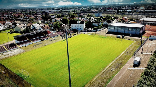 并以迅速的 并以迅速的