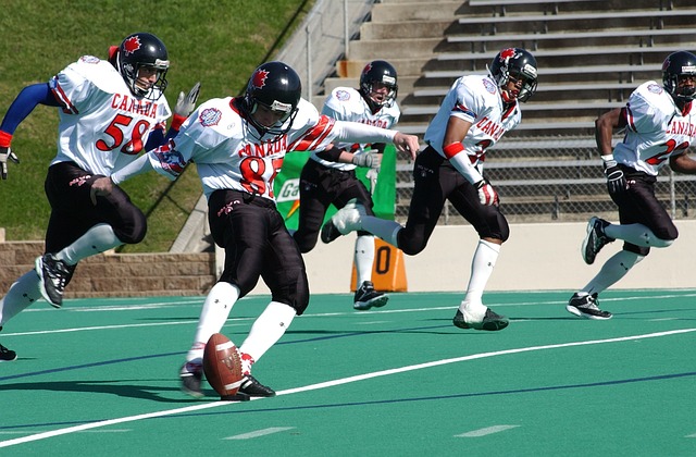 目的体育项 目的体育项