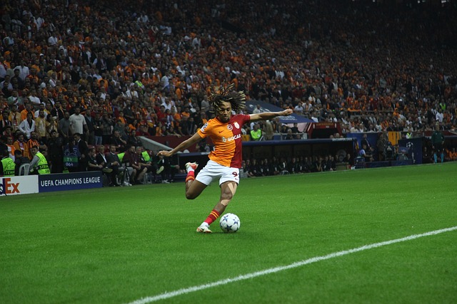 可貴精神 可貴精神